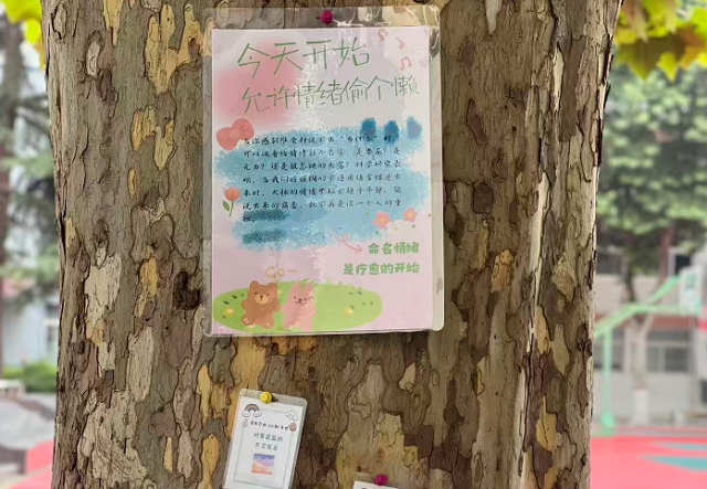 环境浸润，打造暖心心育氛围.png
